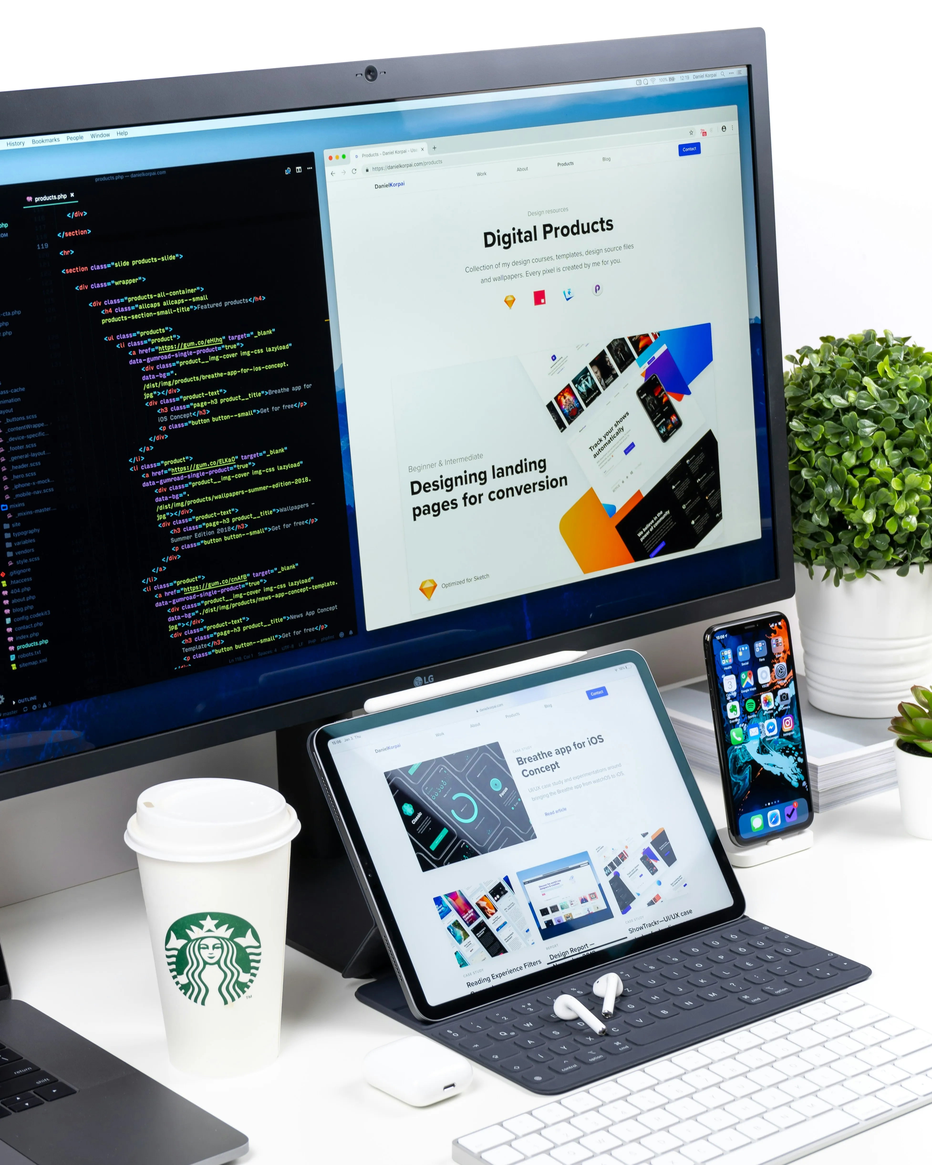 Professionelle Webentwicklung mit ansprechendem und funktionalem Design